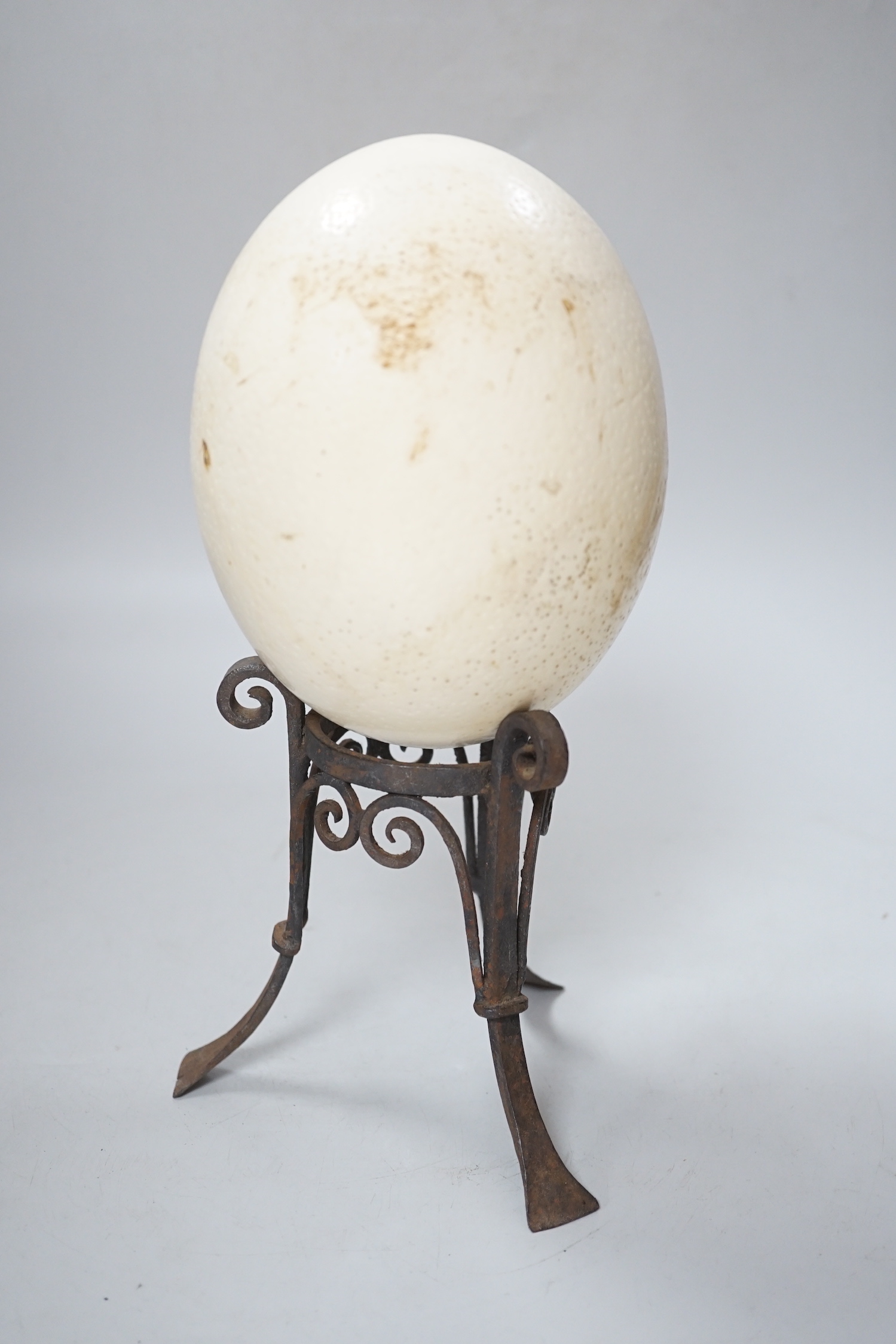 An ostrich egg on wrought iron stand, 29cm